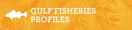Gulf Fisheries Profiles