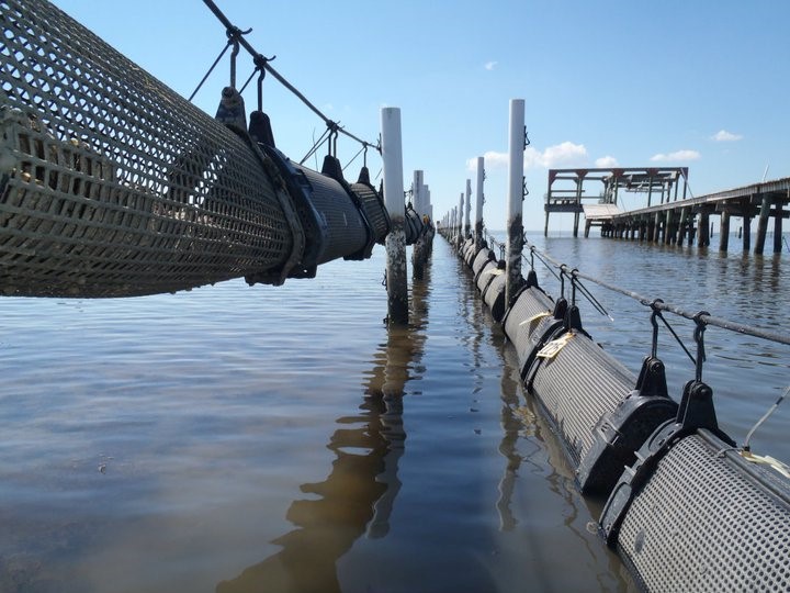 Home to innovative and sustainable aquaculture practices